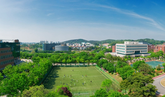 ������� �ٵϹ�ȭ�������а� ������� ���� ��