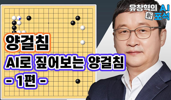 AI�� Ȱ���Ͽ� ���ħ ������ ������ ������ ����