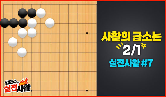 ���� �߿���, 2/1 �޼Ҹ� �����