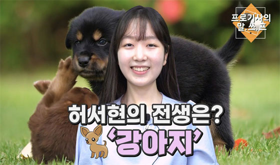 �㼭��, �׳��� ������?