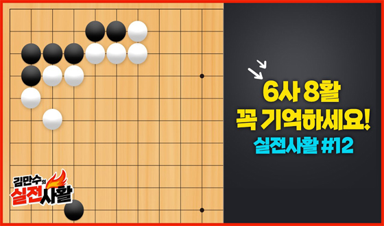 6�� 8Ȱ �� ����ϼ���