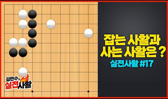 ��� ��Ȱ vs ��� ��Ȱ