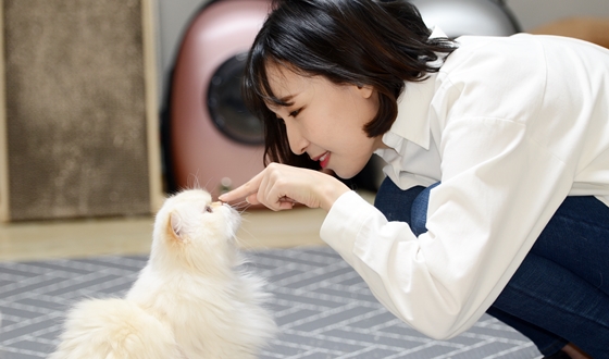 �ȳ�! ���� �ҿ����Ʈ