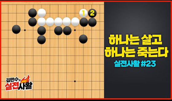 �� �߿� �ϳ��� �ݵ�� �״´ٰ�?