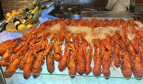 Ÿ���� �û�Ŀ� ������ '������ ������'